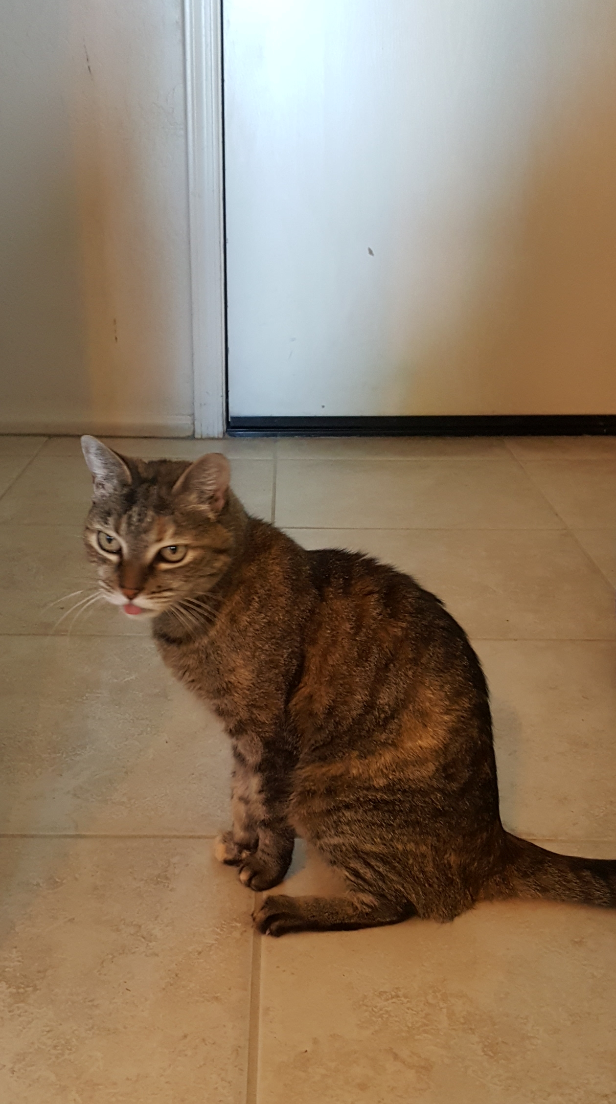 Summer blep