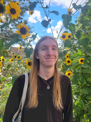 Preston in sunflowers